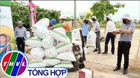 THVL | Thu gom trên 1100 kg vỏ bao bì chai lọ thuốc bảo vệ thực vật đem tiêu hủy