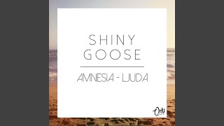 Video thumbnail of "Shiny Goose - Ljuda"