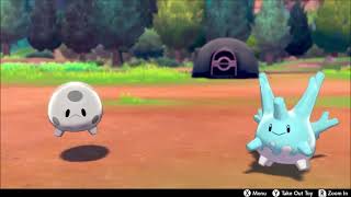 Hype Corsola Race in Camp! Johto vs. Galar