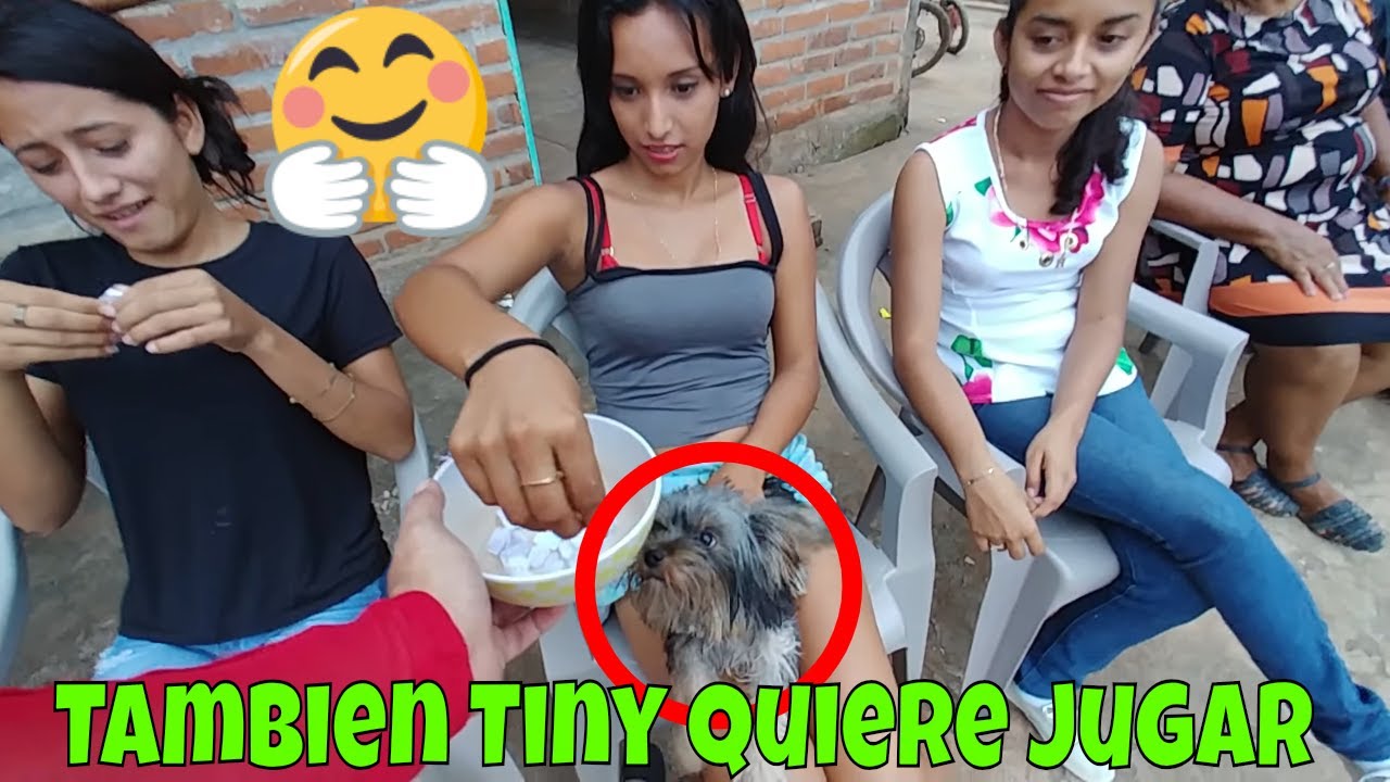 Ahora si! Que comience el juego del elefante blanco atrévete🙄 Parte 11