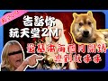 【天堂2M】你知道玩天堂2Ｍ每個月基本開銷要多少嗎？#公開從開服至今這永久收藏的坑