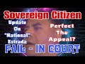 Sovereign Citizen National Estrada Returns for Review and Appeal Fail In Court