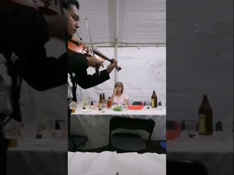 El gustito 🎻
