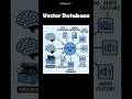Understanding Vector Databases #ai #llm