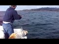 FISHING IN THE PACIFIC NEAR HALF MOON BAY