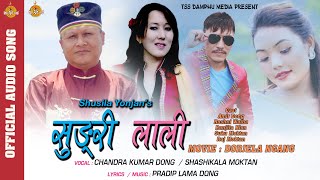 Old Tamang Movie Song- Dorjela Ngang II SUNGRI LALI IIBy, Amir Dong Ft.Chandra Kumar Dong,Shashikala