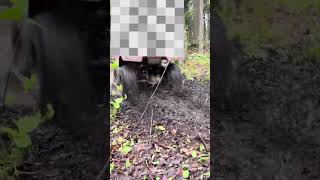 TRX4m’s crawl with ATV’s