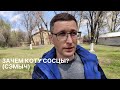 История про то, как коту выдавливали прищики на животе