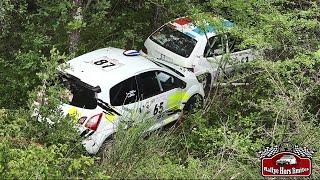 Rallye du Val Dadou 2024 [CRASHES]