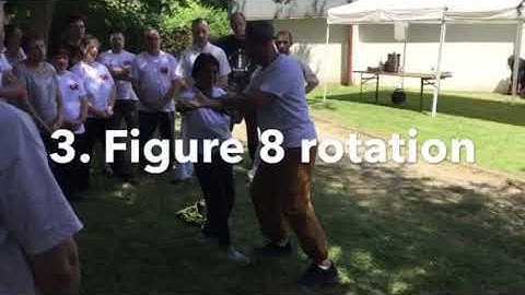 SINGLE HAND FIXED STEP PUSH HANDS