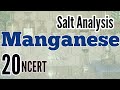 Identification of Manganese : Salt Analysis series NCERT