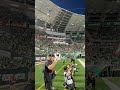The Sea of Green Was Wavy! 🌊