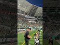 The Sea of Green Was Wavy! 🌊