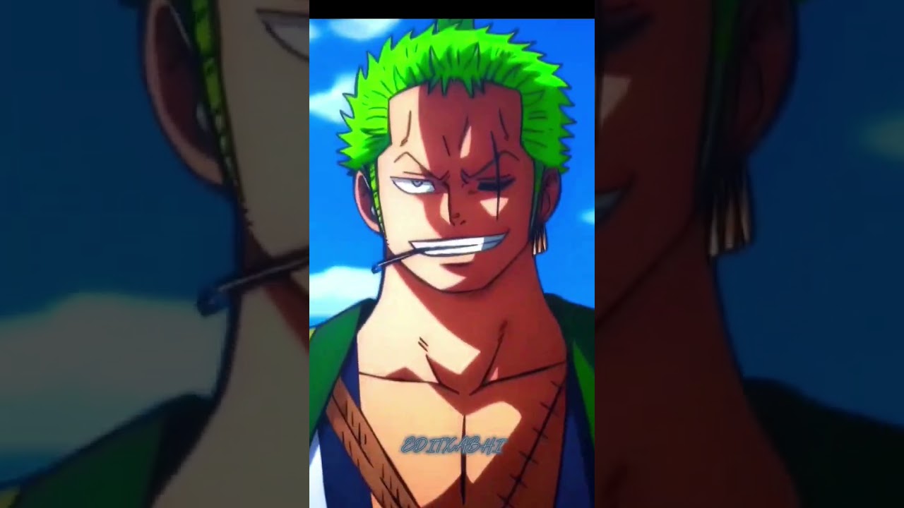 Ronoroa zoro editx 