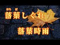 【日語導唱】落葉しぐれ( 落葉時雨 )漢譯+注音+卡拉OK(カラオケ) -演唱: 華Hana