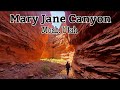 MARY JANE CANYON - MOAB, UTAH