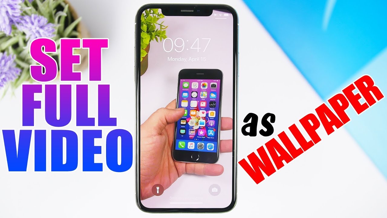 Set FULL VIDEO as a WALLPAPER On Your iPhone ! - YouTube