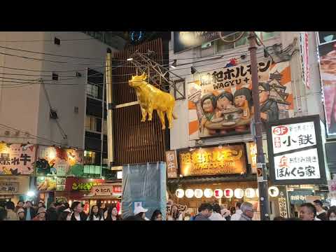 Golden Beef, Dotonbori street food, Kobe beef, Osaka, Japan