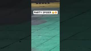 Protect this spider at all costs!! 🦟🦗🦟🦗 #electronicmusic #dancemusic #club #rave #dancemusic