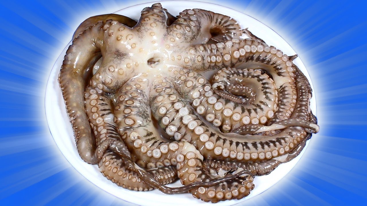 Пробую Дорогие Морепродукты. Клеммы Вонголе. Гигантский Осьминог. Как ...