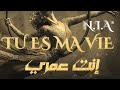     إنت عمري            انت عمري