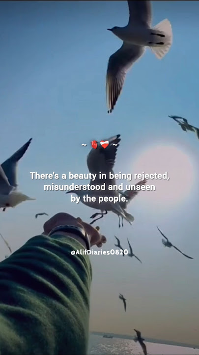 There's a beauty in misunderstood 🫀 #islam #nasheed #islamicquotes #quotes #deen #dua #nasheeds