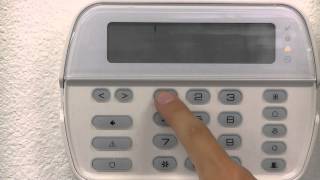 Celebrity Checking For Your Trouble Condition On Your DSC Fixed Keypad Profile