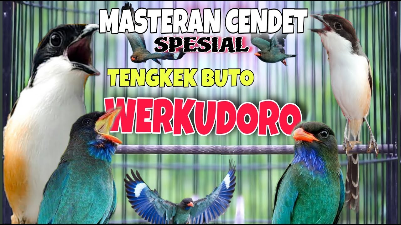 MASTERAN CENDET SPESIAL TENGKEK BUTO WERKUDORO PALING JITU AMPUH MUDAH MASUK