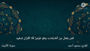 تلاوة خاشعة ستأخذك إلي عالم اخر
