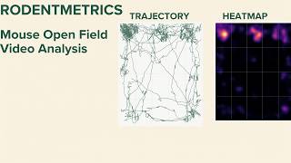 How to Analyze Mouse Open Field Test Videos | RodentMetrics Tutorial