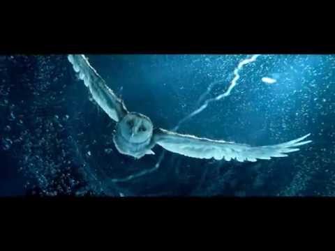 Fly Inside! ~ Soren Storm Scene ! Legend of the Guardians