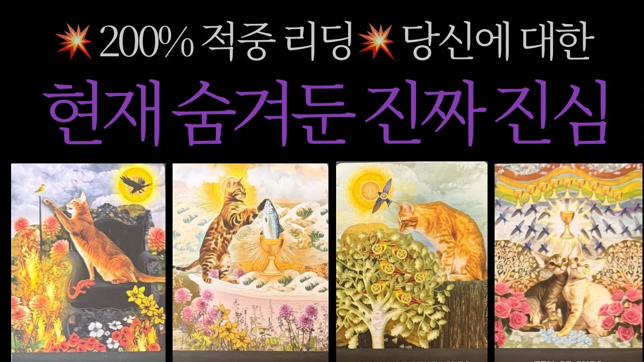 [타로]💥적중리딩💥 현재 상대의 나에 대한 속마음과 더 깊은 속마음 그리고 상대가 바라는 관계 모습❤️‍🔥