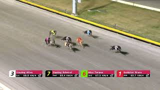 Q-Straight-17082026-Race-5