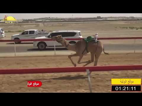 الشوط 5 الشاهينية ل عبدالله عاضد المهيري 2 14 شارة الصندوق 2020 3 15 سويحان فطامين