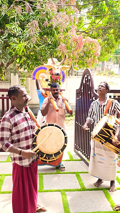 kaalakali💥#kumbabharanivela#kaalakali#wayanadanmanjalilaaraadi#shorts#video#youtube