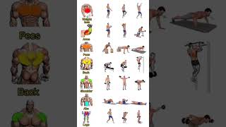 Weight Lose Arms Pecs Back Shoulder Abs Full Body Workout 