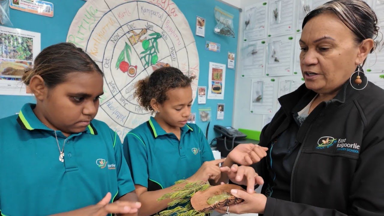 Two-way Science - Ngalipa Tawarrangka Nintipuwa Two-way learning - YouTube