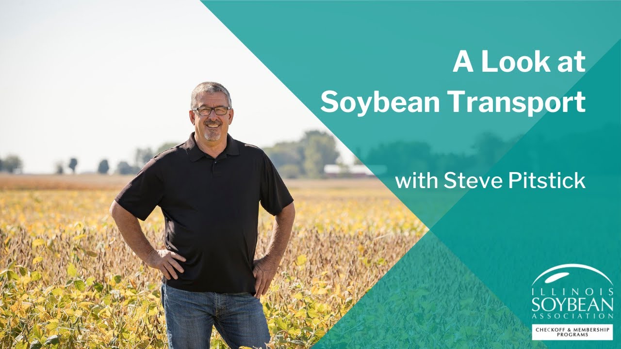 A Look at Soybean Transport with Steve Pitstick