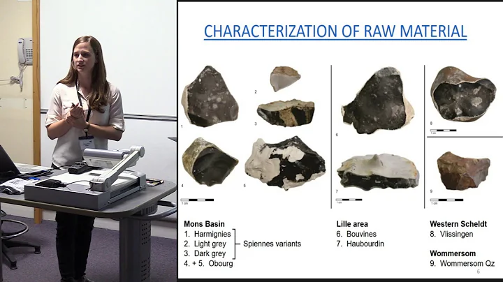 Characterization and Patina Formation of Flint use...