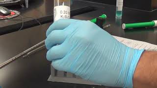 CHEM 1520L Experiment 004 Rates of Reaction Virtual Demonstration