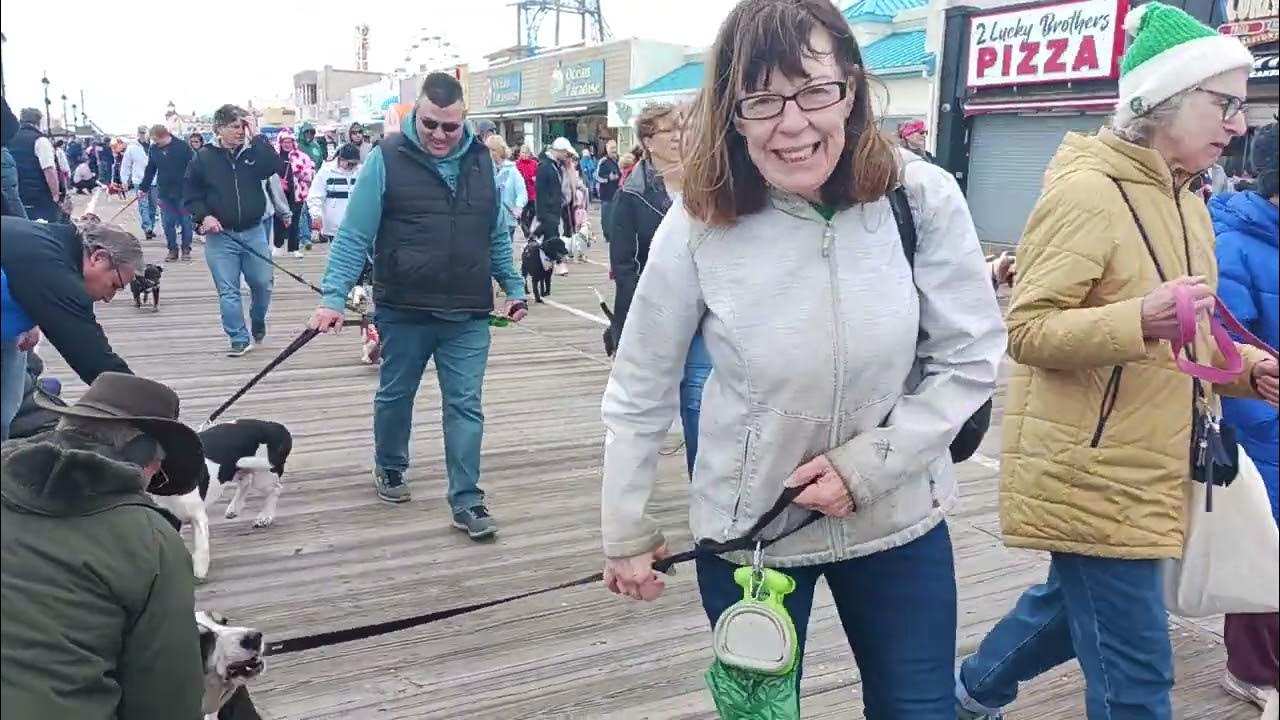 Doo Dah Parade, Ocean City, NJ. YouTube
