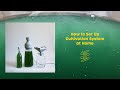 Growing Spirulina at Home - "How to Set Up" (Overview)