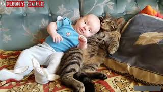 Funny Babies Laughing Hysterically at Cats Compilation