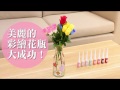 【玩美佈置】居家裝飾DIY | DAISO聰明生活家