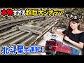 まだ動く?25年前に買った北斗星をジオラマで走らせる!【Nゲージ】
