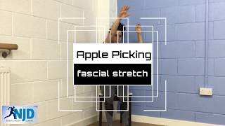 Apple Picking - Shoulder ROM / Fascia Stretch