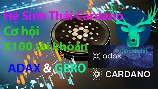 Downtrend 2022 X100 lần với coin ADAX và GERO - Hệ sinh thái cardano ADA