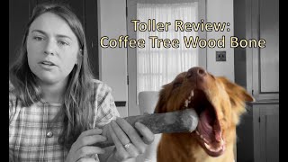 New Toy Bone Review - Coffee Wood - Canophera - Toller Edition by A Duck Toller Named Sable 522 views 11 months ago 4 minutes, 4 seconds