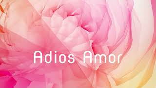 Video voorbeeld van "Adios Amor (Andy Borg) - Coverversion Schlagerburschi"
