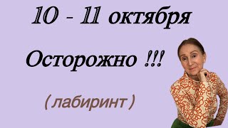 картинка: 🔴 10 - 11 октября 🔴 Осторожно!!!… лабиринт… Розанна Княжанская